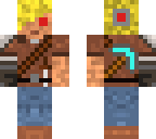 chipped logmappro