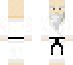 karate master