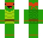 orange ninja turtle