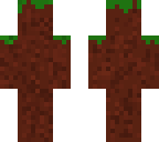 dirt camouflage