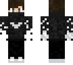 arktika und jetzt wirklich mein skin