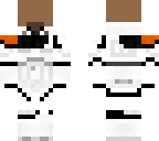 storm trooper capybara