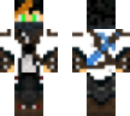 tim_tahms skin v2