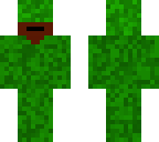 camo swan