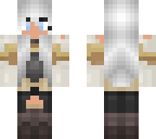 armor skin