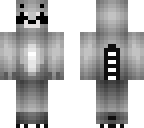 raccoon  