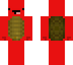 fire derp turtle