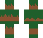 incognito plains