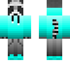aqua racoon