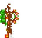 seasons