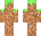 dirt skin