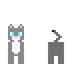 cute cat grey