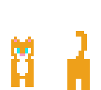 cute cat orange