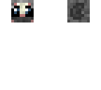 chinchilla head