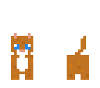 billy the cat