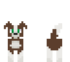 cute boy dog