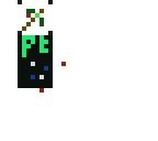 pe expert