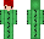 mine v2