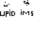 stupid skin