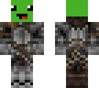 turtle knight
