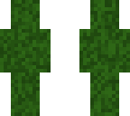 camo guy