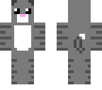 gray cat