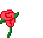 rose from down under