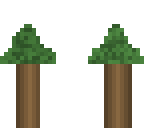 the tree