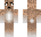 brown bunny