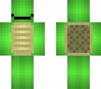 straight face turtle