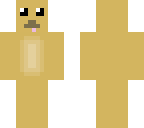 cute puppy