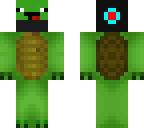 turtle dood