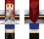 fairy tail erza
