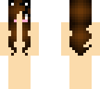 shin skin base