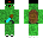 turtle