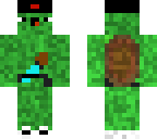 turtle