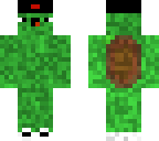 turtle with beanie