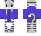 cat with hoodie