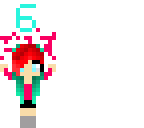 6 flollowers