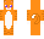 kitty cat