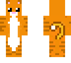 cutie cat