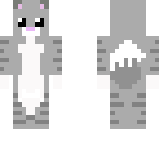 gray kitten