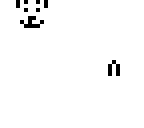 annoying dog