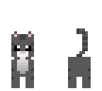 custom skins