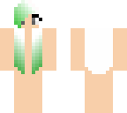 skin base