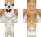 corgi