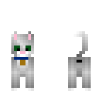 grey cat