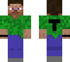 turtle steve skin