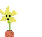 flower special