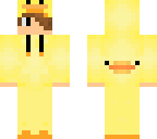 perfect cute duck